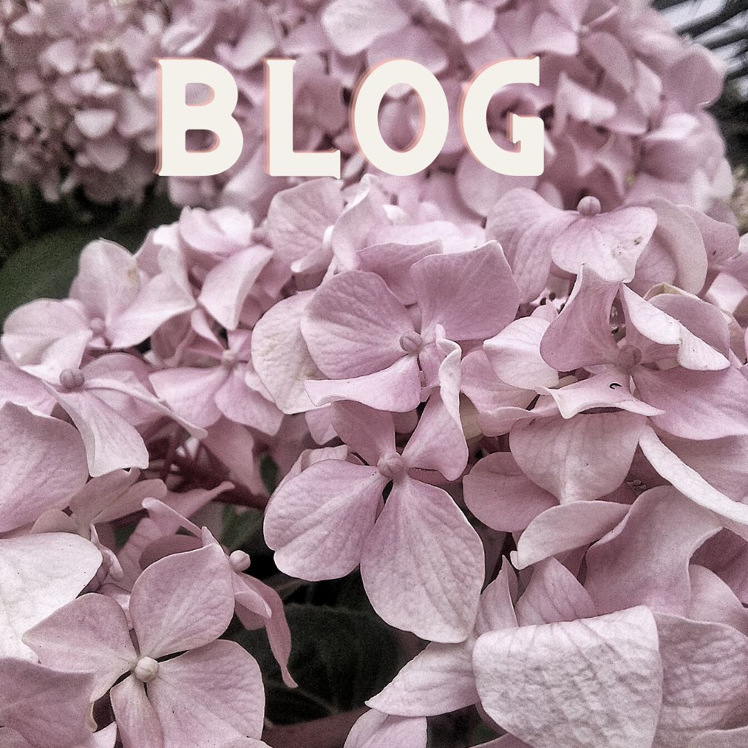 An OB/GYN Gets Real About Vagina Facials