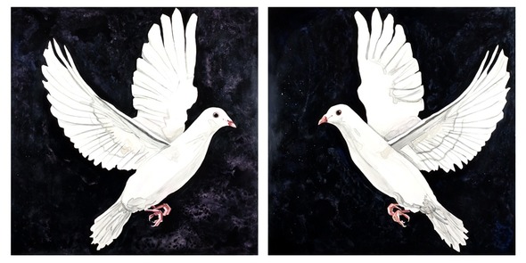 Dove Diptych, watercolor on board, 30" x 60" each panel, 30" x 30" each panel