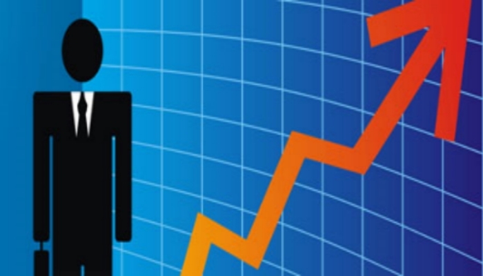 Art as Investment: A Survey and Explanation of the Art Market