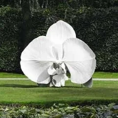 Curating Your Corporate and Private Collection