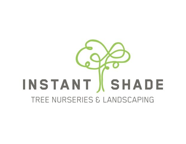 Instant Shade
