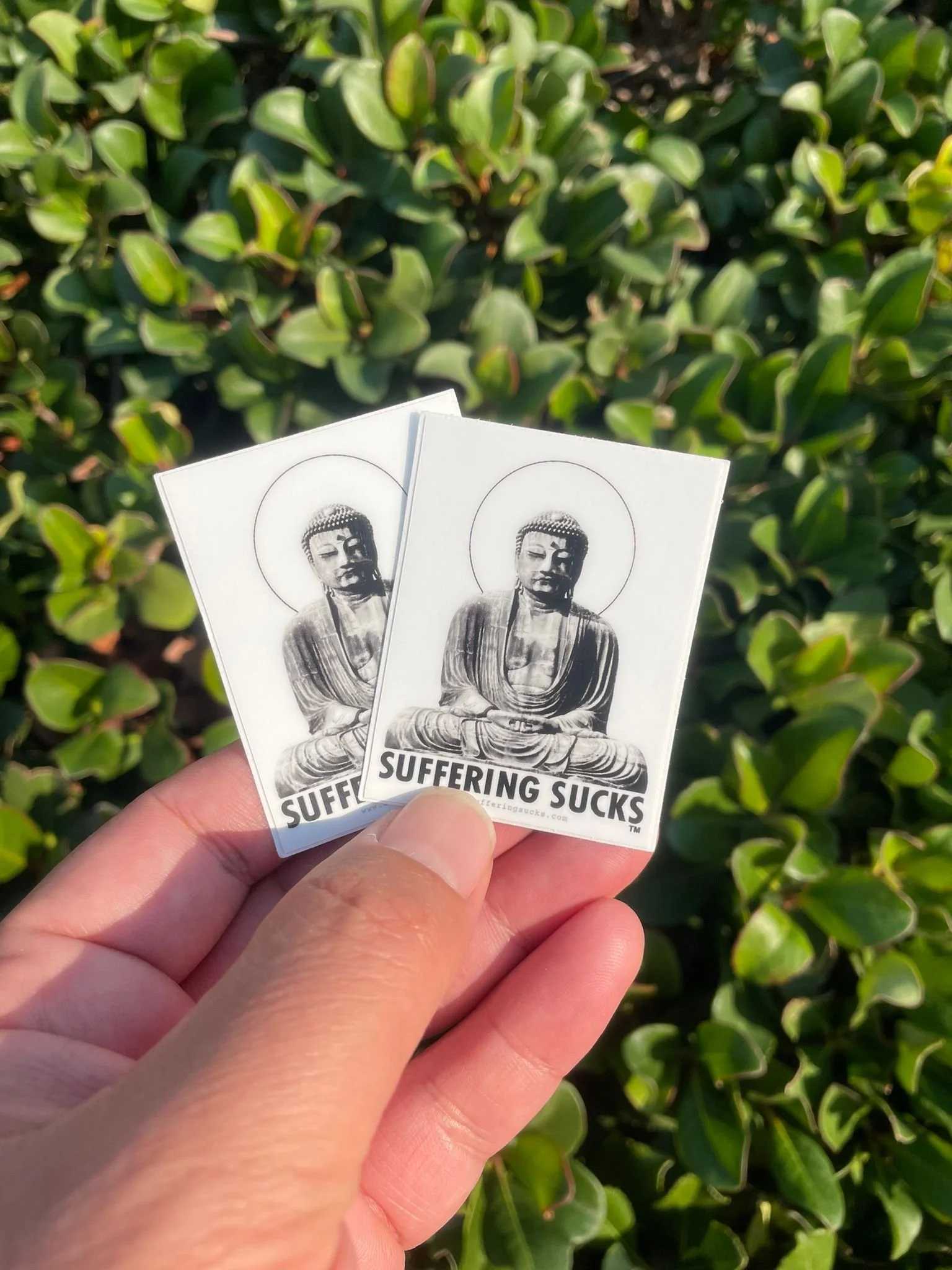 WhatsApp Image 2023-10-28 at 02.55.06.jpeg