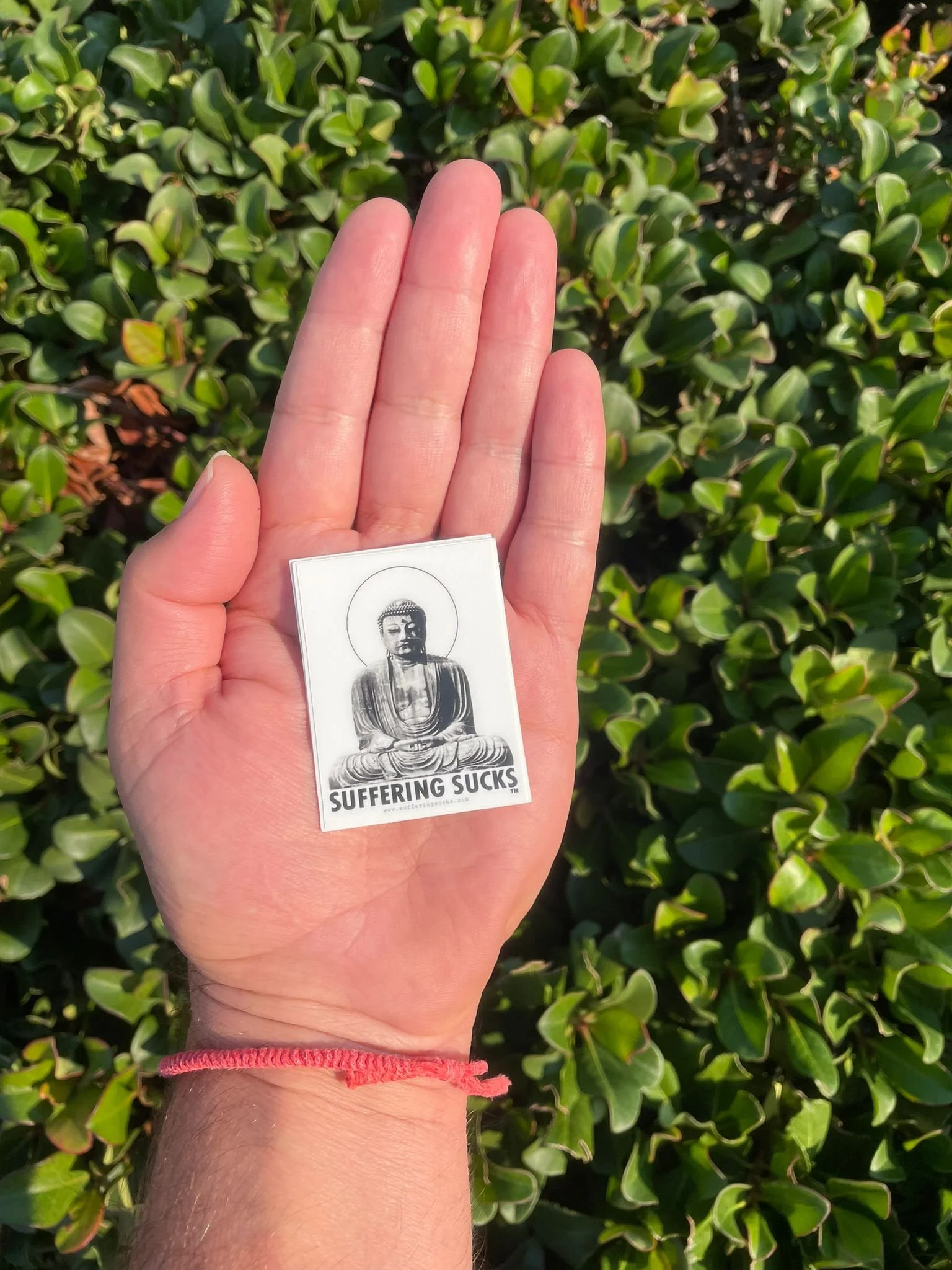 WhatsApp Image 2023-10-28 at 02.55.05.jpeg