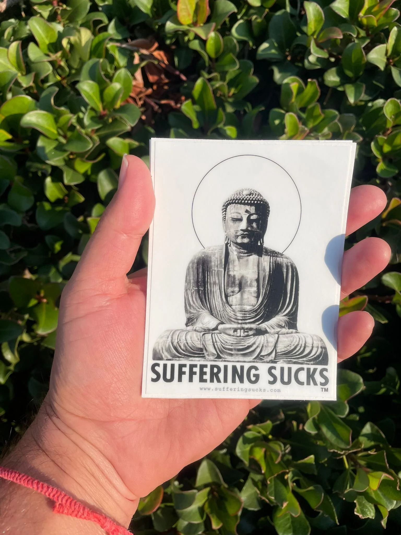 WhatsApp Image 2023-10-28 at 02.56.24.jpeg