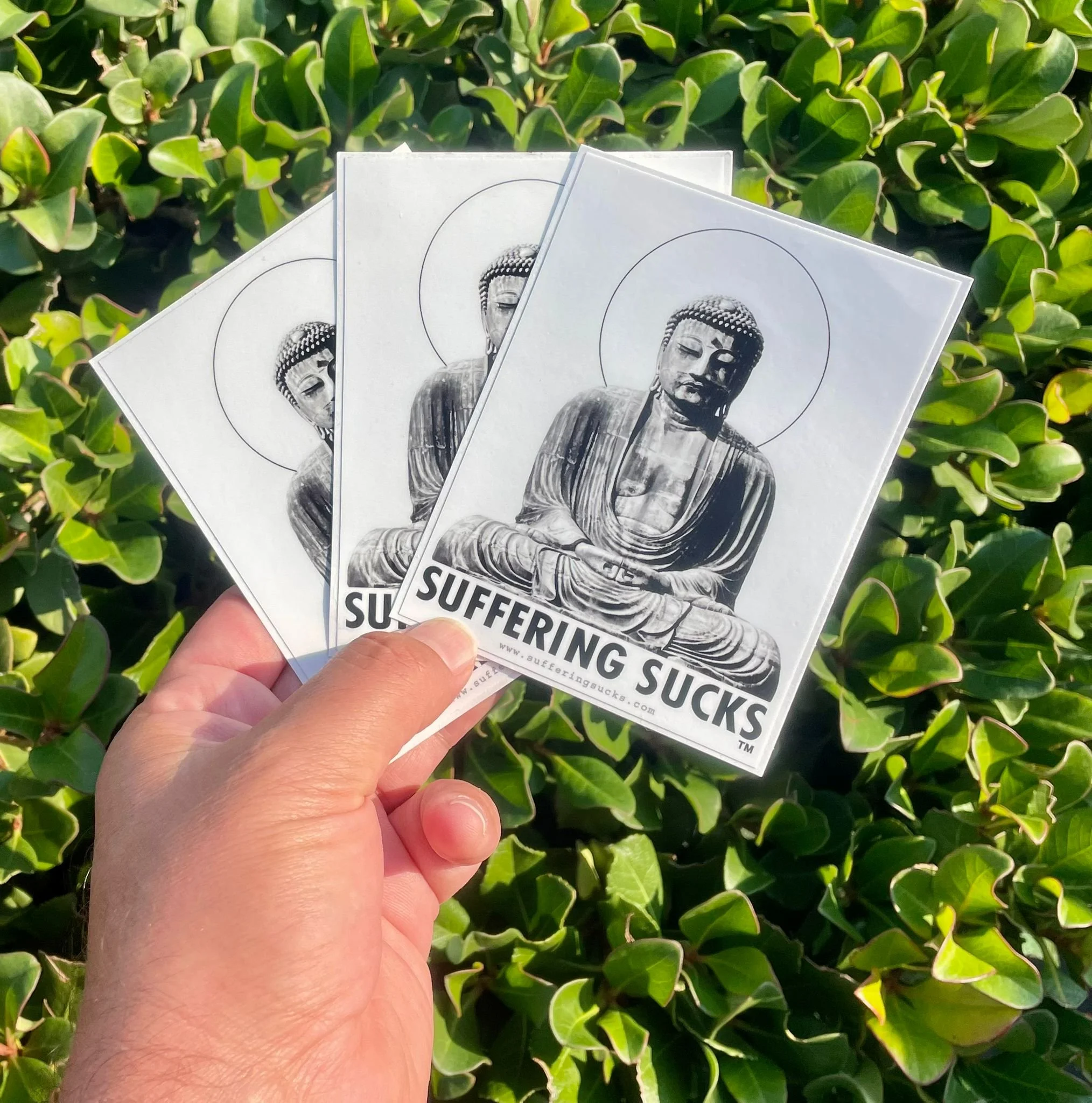 WhatsApp Image 2023-10-28 at 02.56.23.jpeg