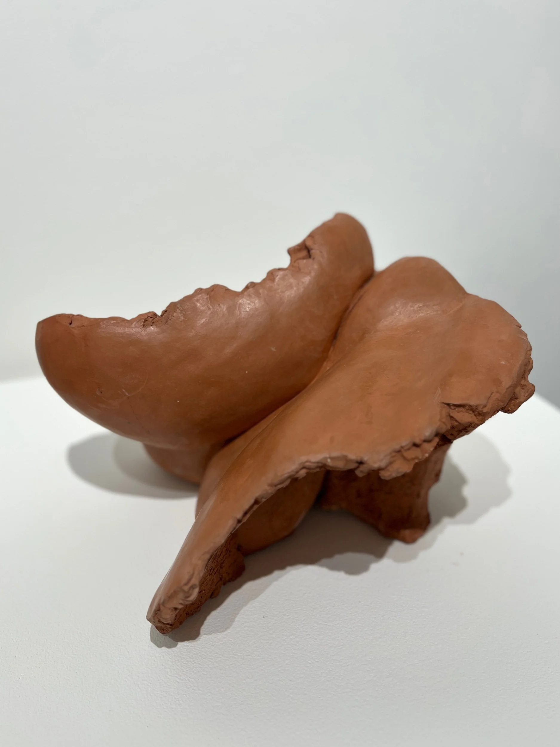 Venus Fragment
