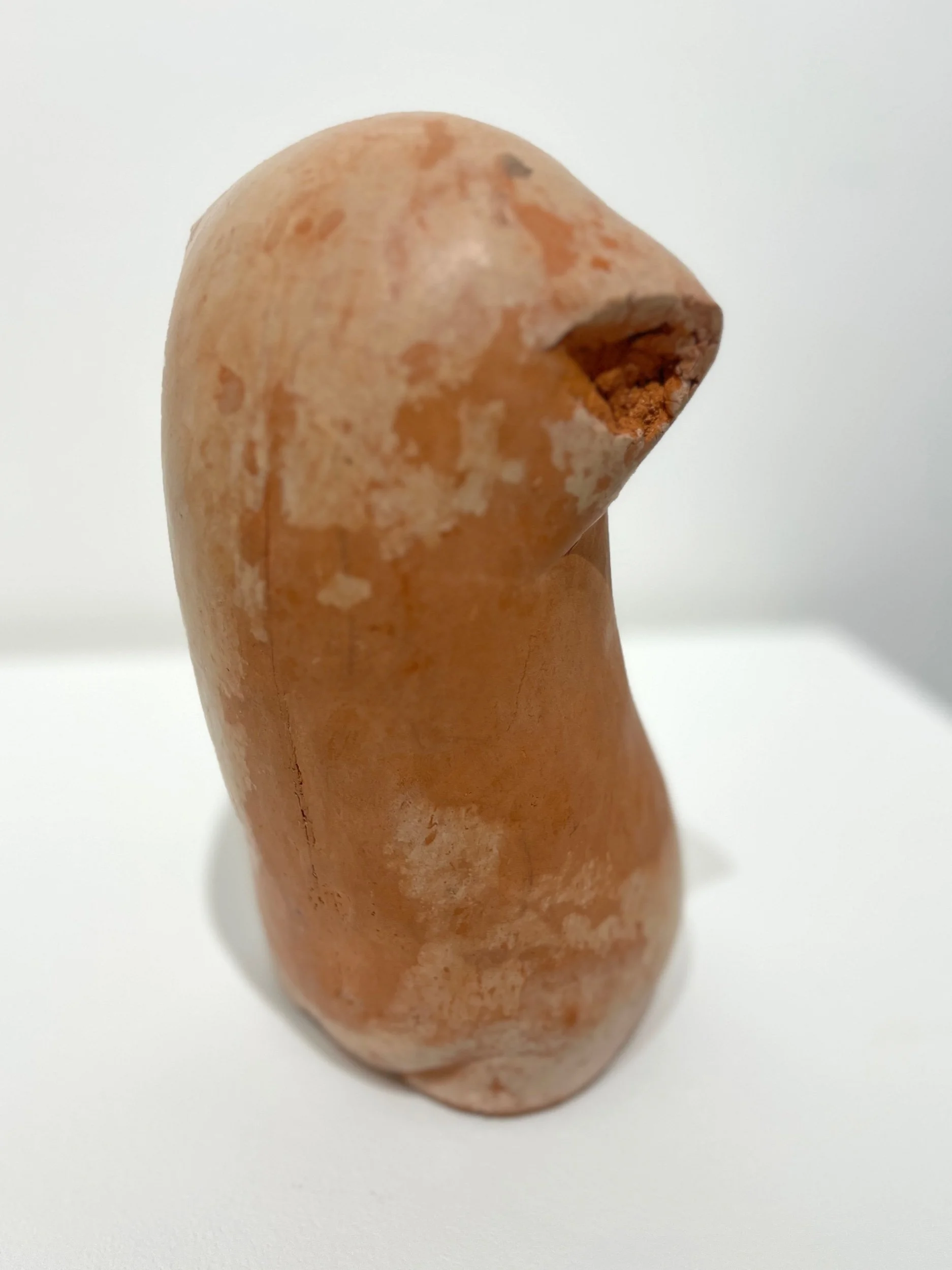 Eggplant Torso