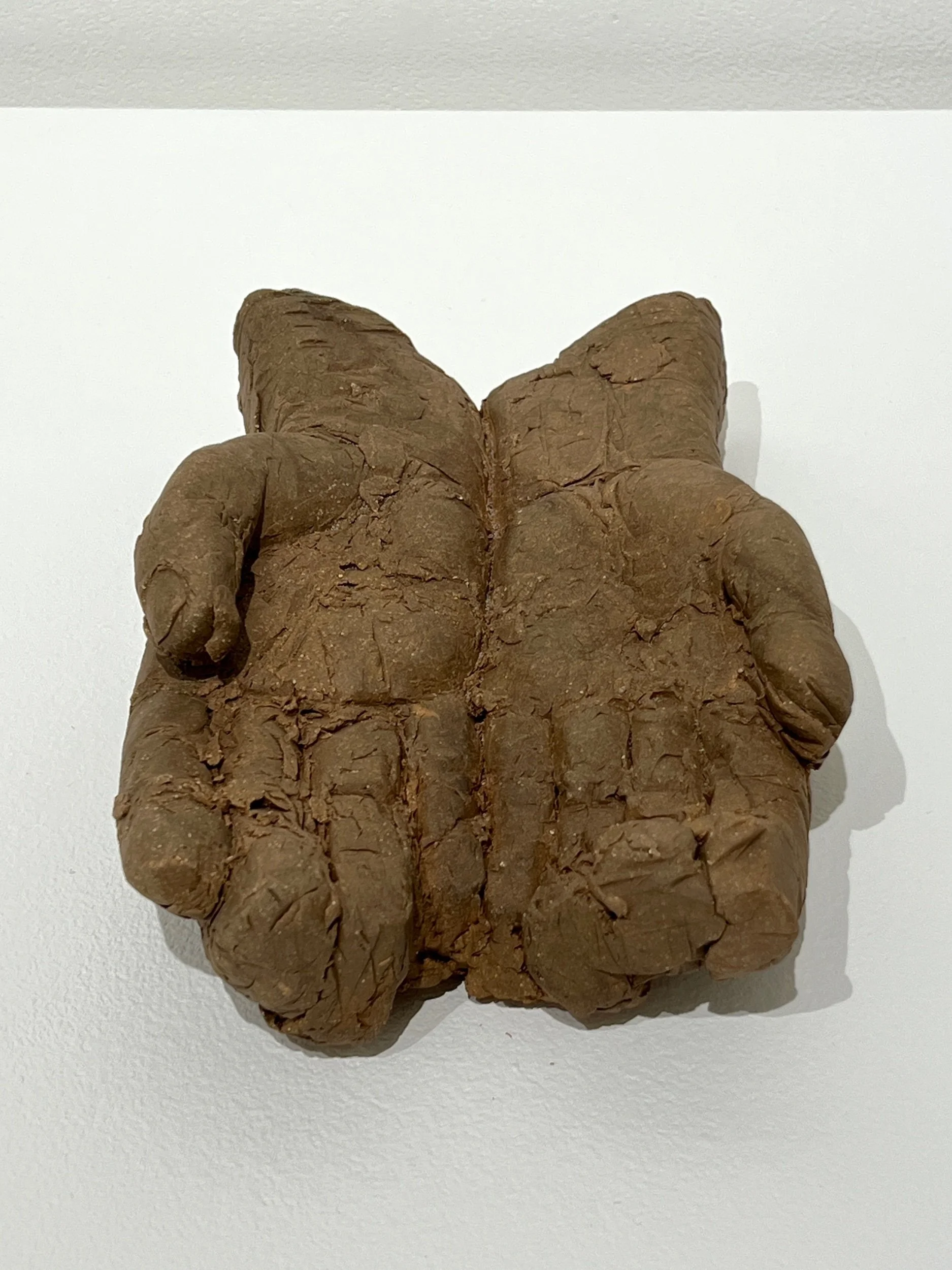 Beseeching Hands