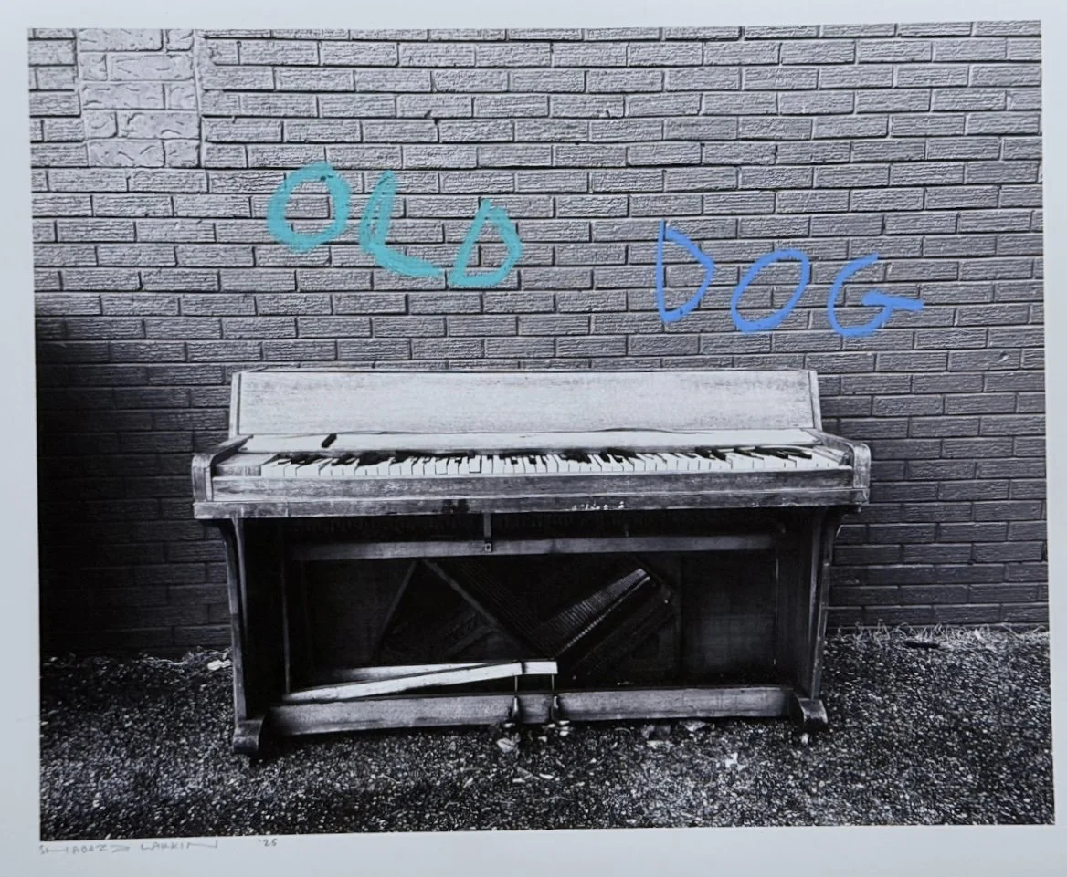 "Old Dog" by Shabazz Larkin