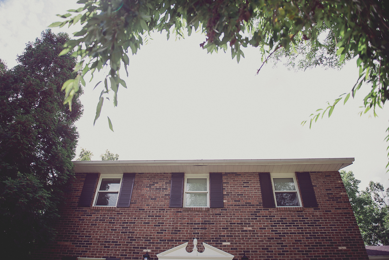 NinaLilyPhoto_Fox_Blog0011.jpg