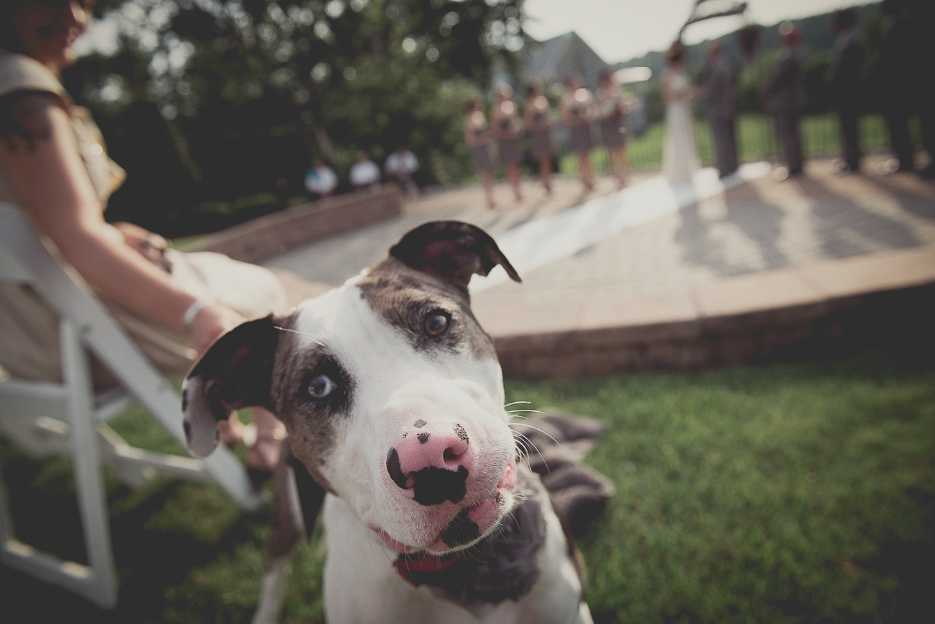 NinaLilyPhoto_Desimone_Blog041.jpg