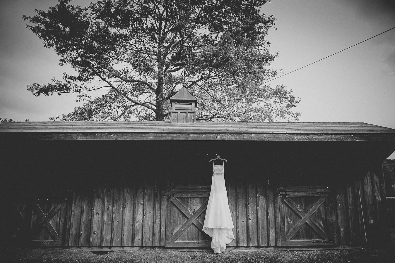 NinaLilyPhoto_Ferris_Blog003.jpg