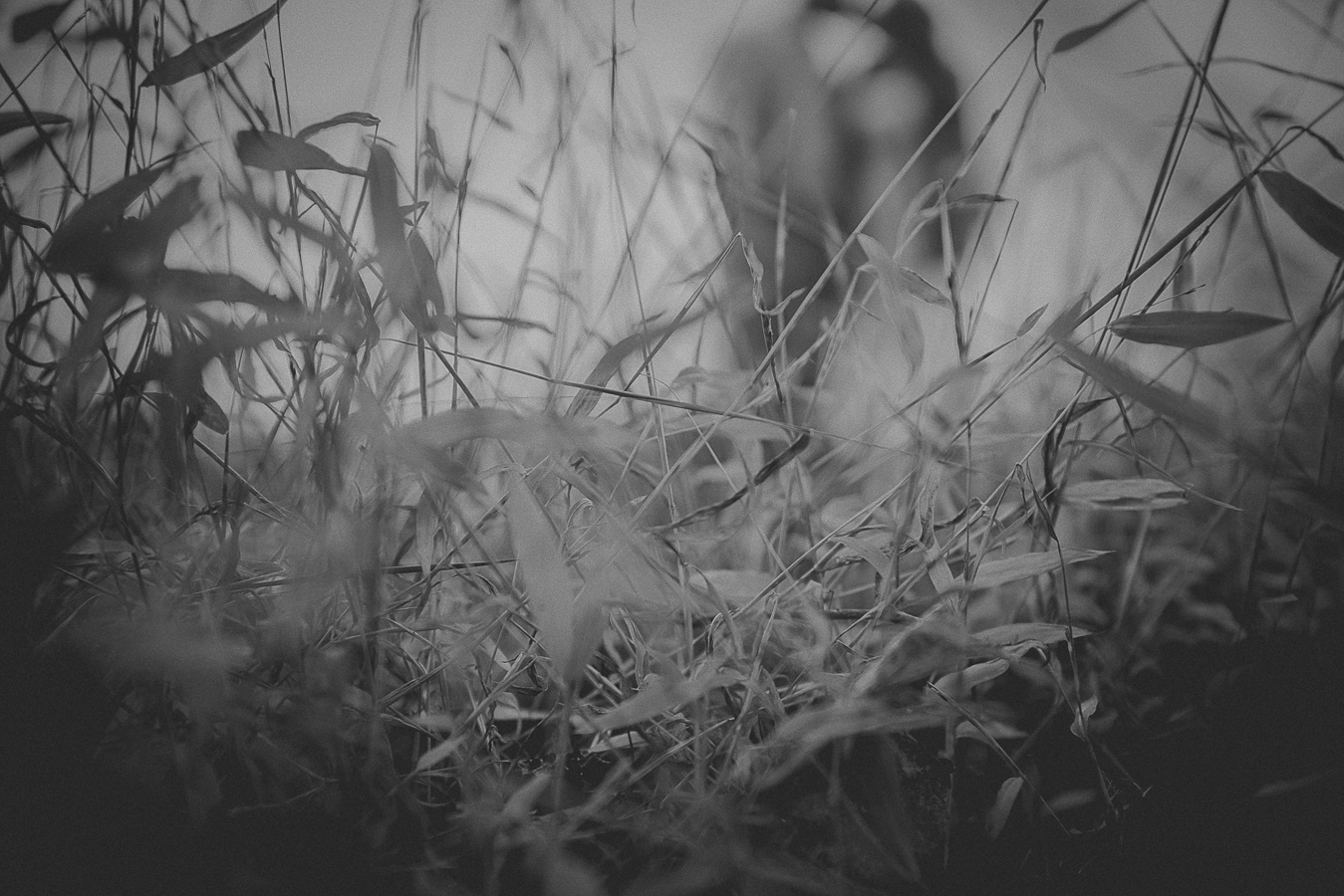 NinaLilyPhoto_Ferris_Blog060.jpg
