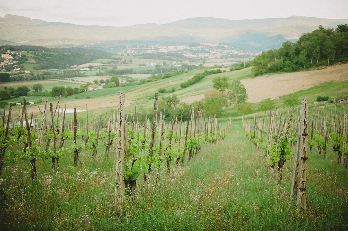 NinaLilyPhoto_TuscanyWedding_Blog002.jpg
