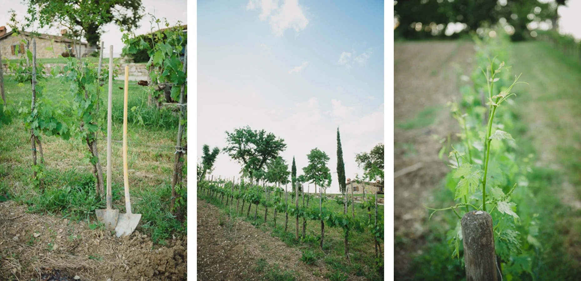 NinaLilyPhoto_TuscanyWedding_Blog003.jpg