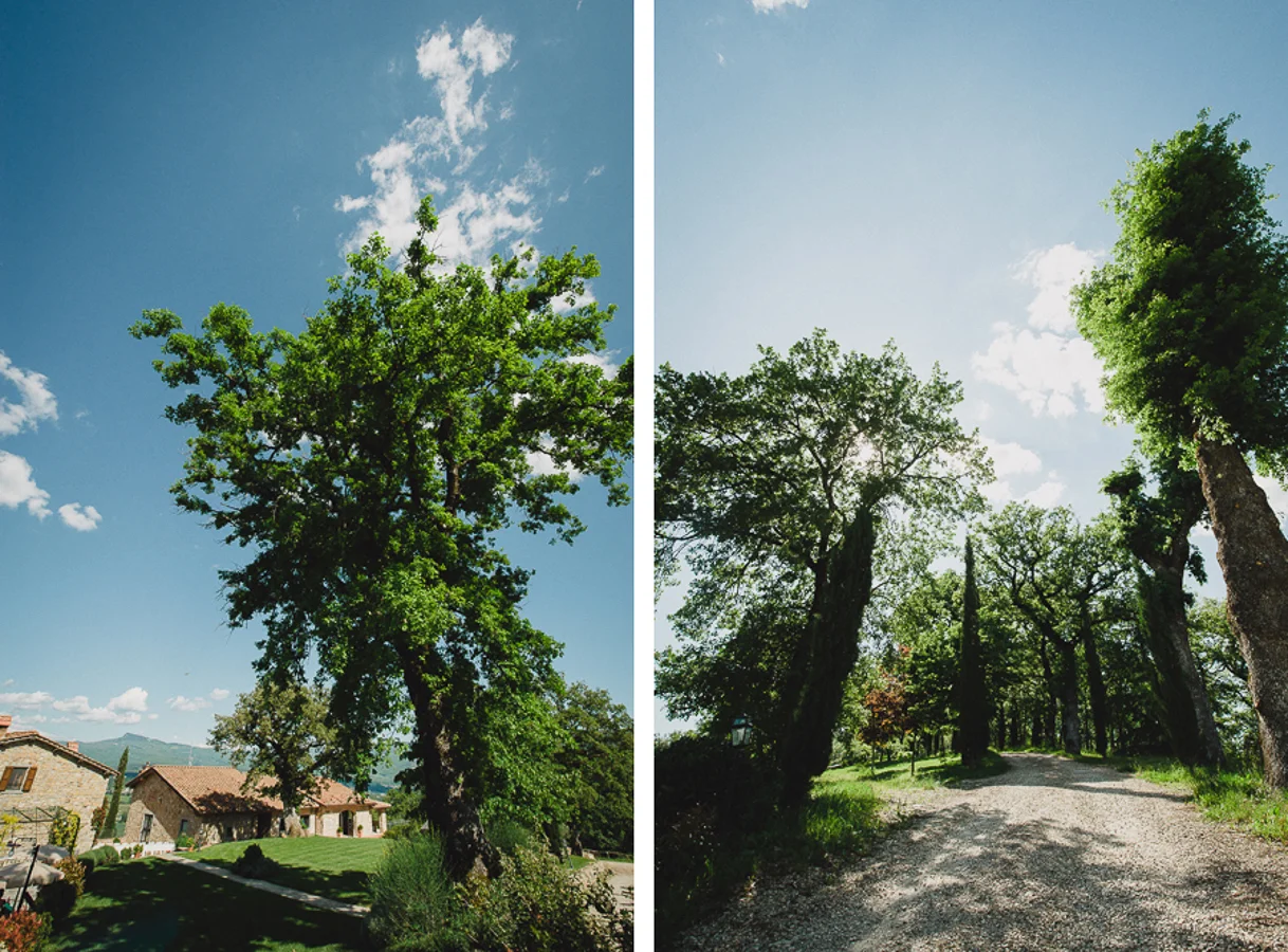 NinaLilyPhoto_TuscanyWedding_Blog015.jpg