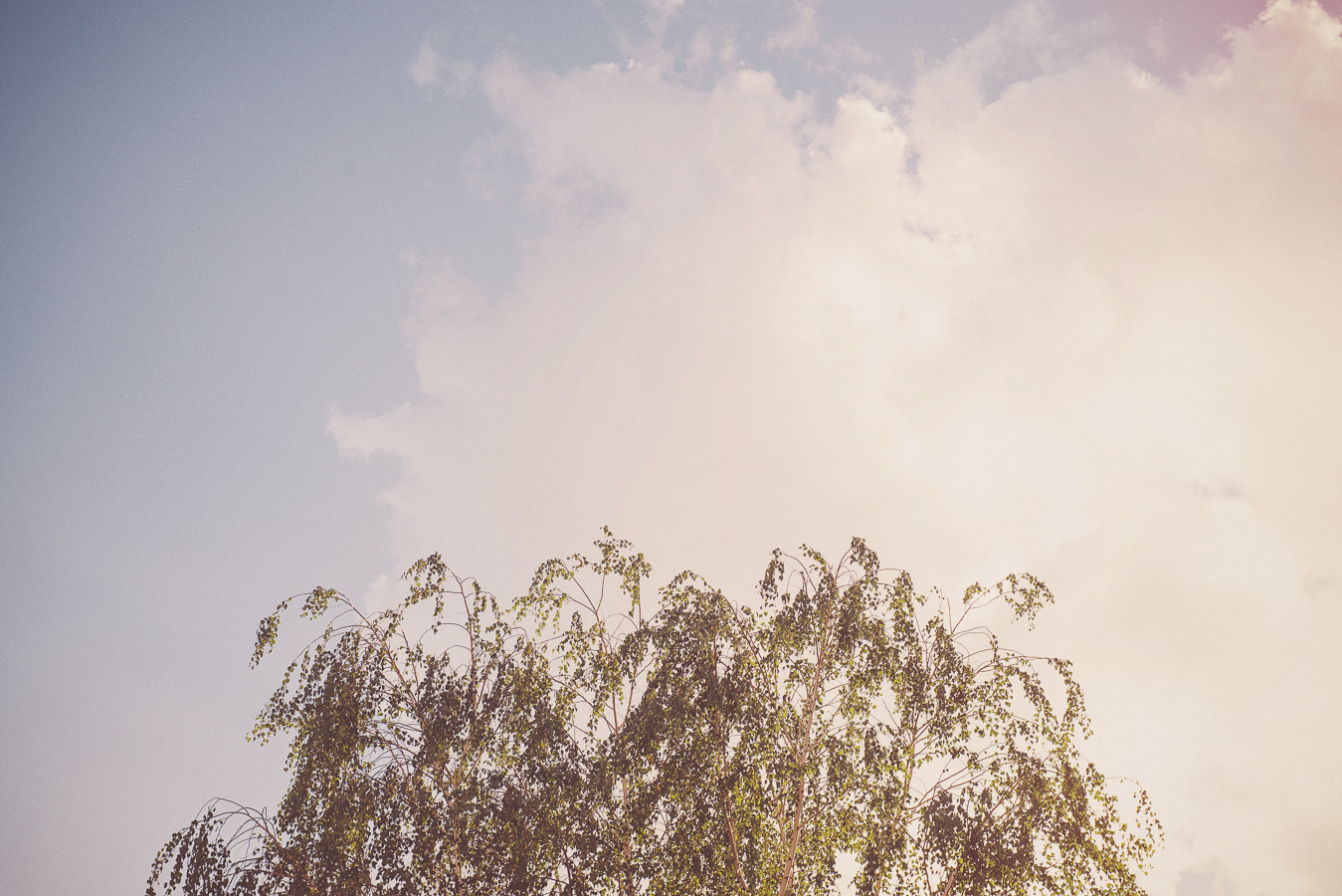 NinaLilyPhoto_Walker_Blog110.jpg