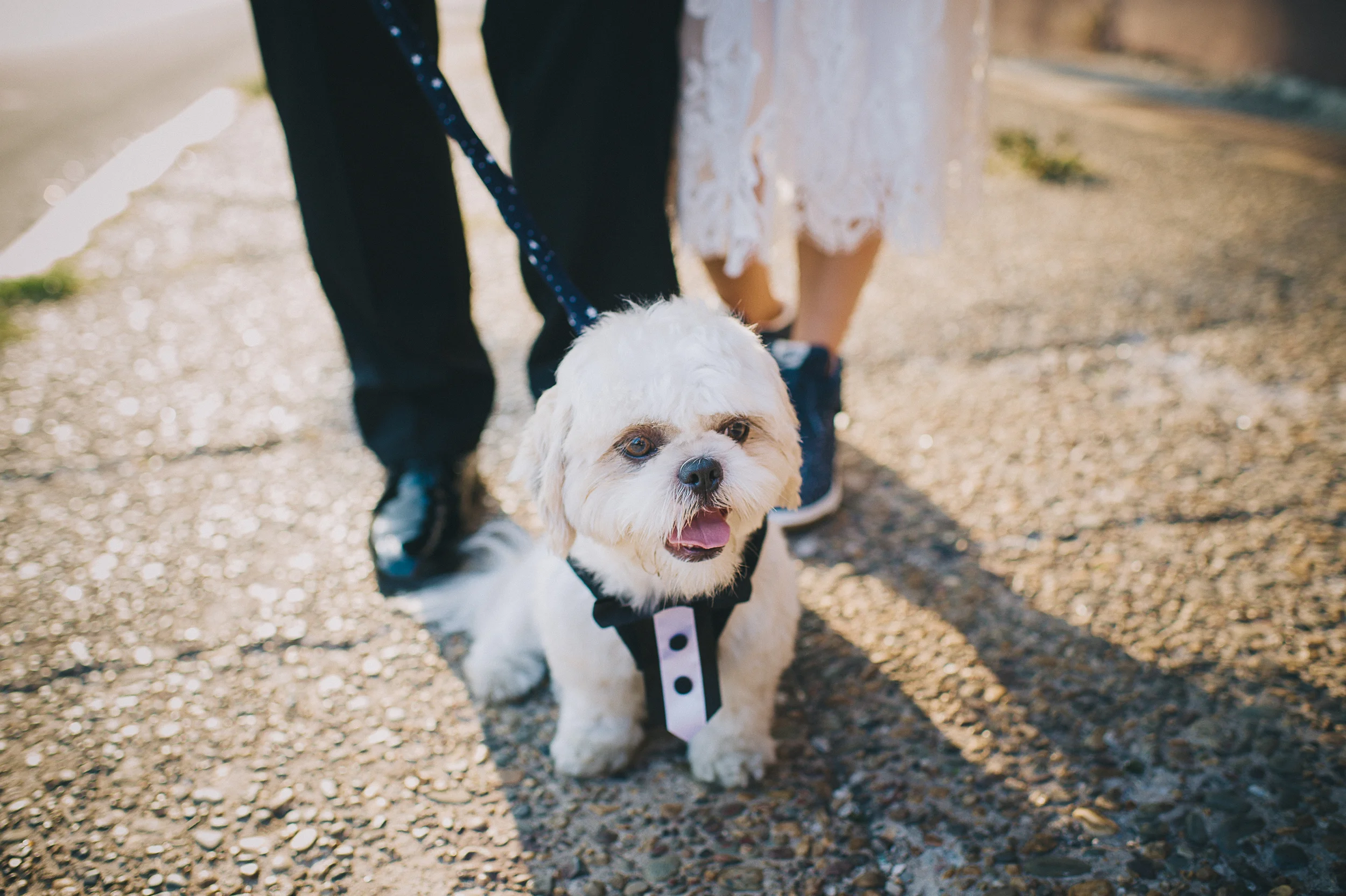 NinaLilyPhotography_CranePhiladelphiaWedding_HoungBlog089