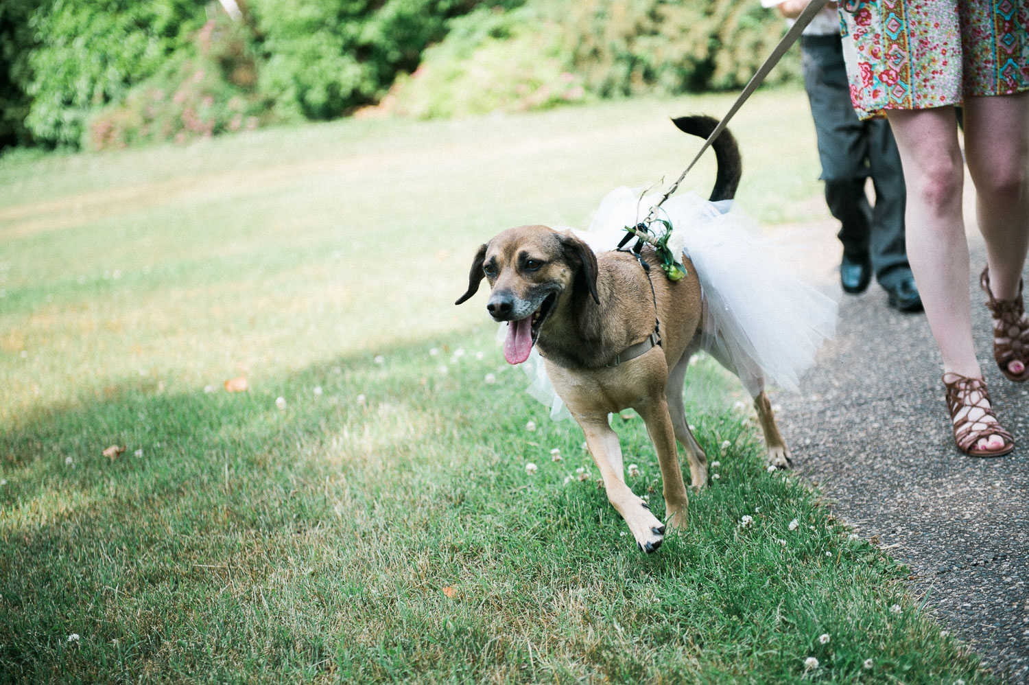 ninalilyphoto-alpenhof-philadelphia-elopement-047.jpg