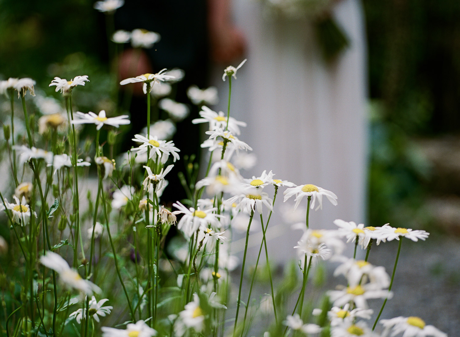 ninalilyphoto-alpenhof-philadelphia-elopement-002.jpg