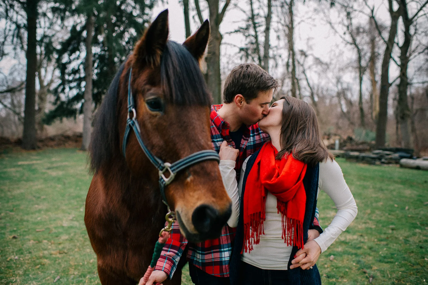 ninalilyphoto-hiddenvalleyfarm-engagement18.jpg