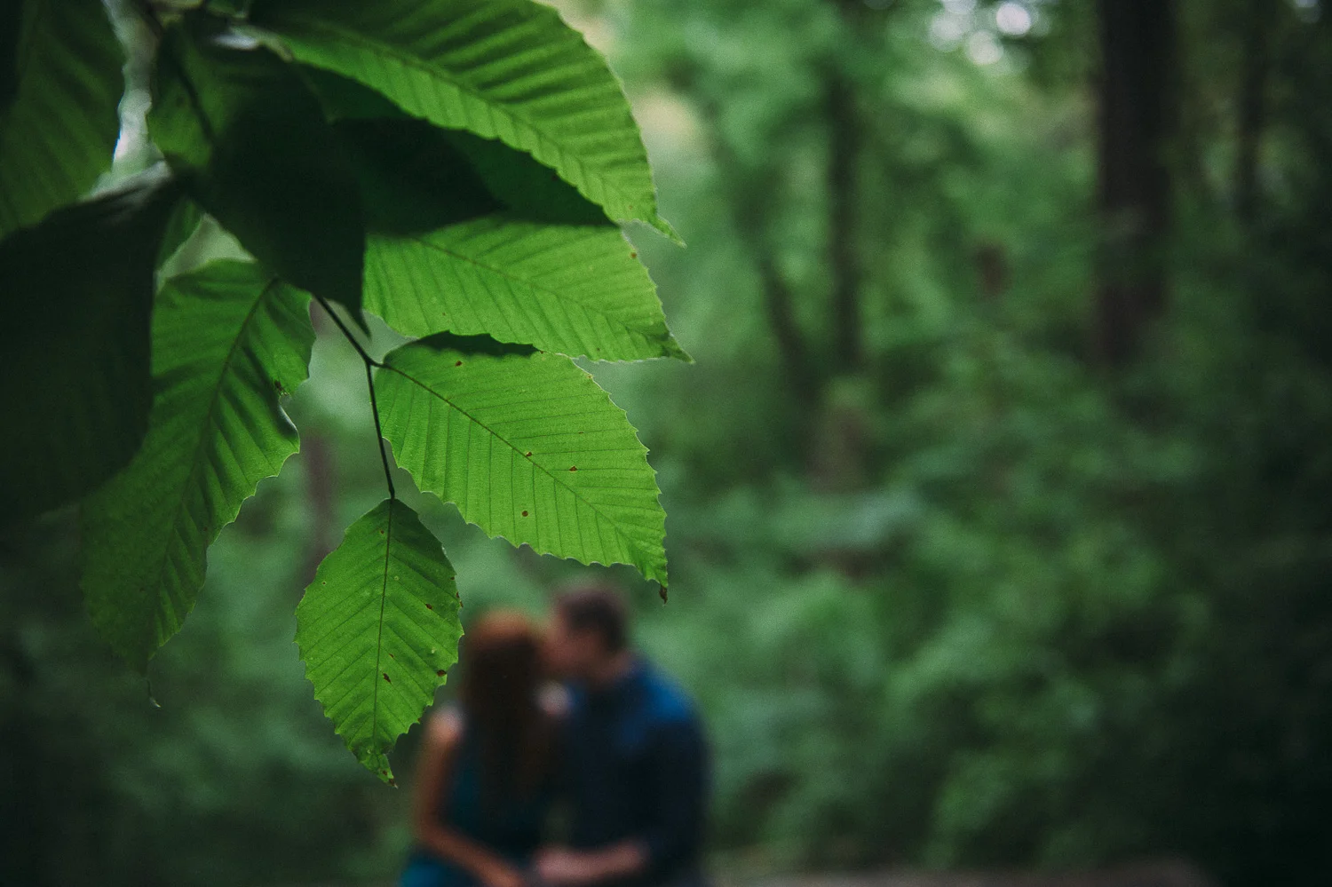 002ninalilyphoto-bestengagementphotographer.jpg