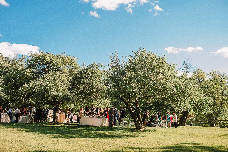 095ninalilyphoto-secondphotographerexamples.jpg