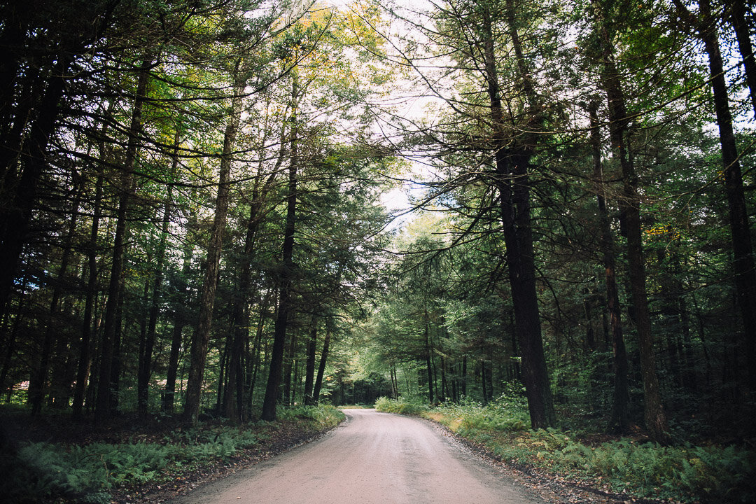 051ninalilyphoto-donato-poconolakepreserve-poconopaweddingblog.jpg