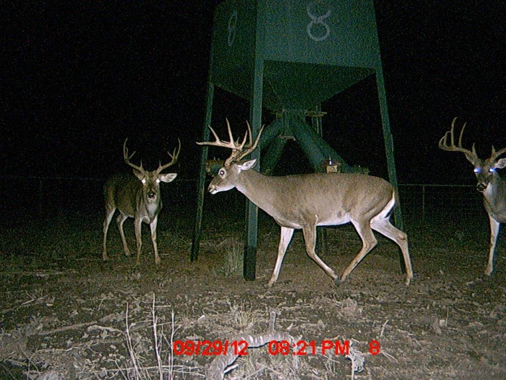 MDGC0016.jpg