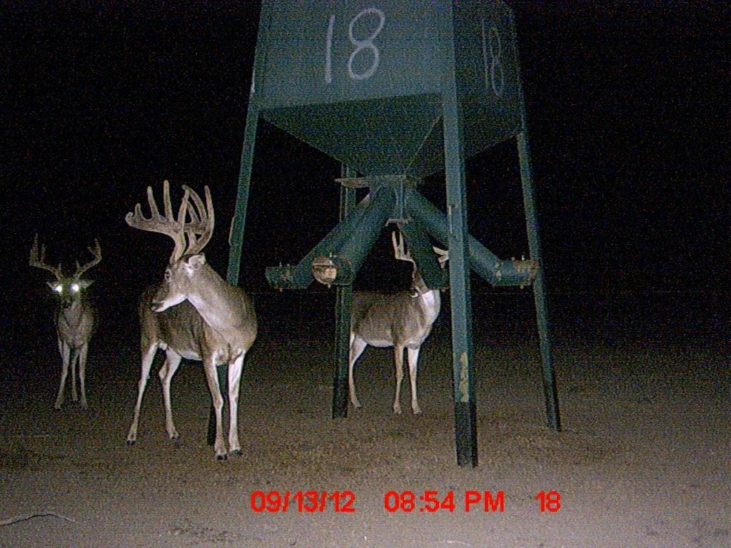 MDGC0011.jpg