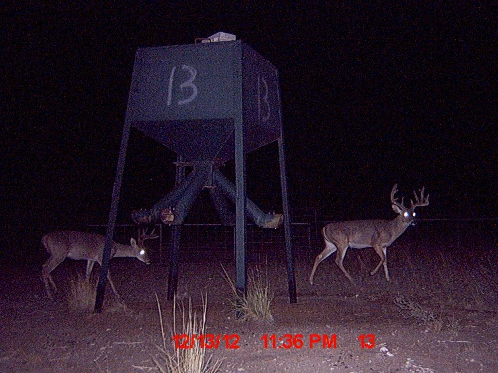 MDGC0023.jpg