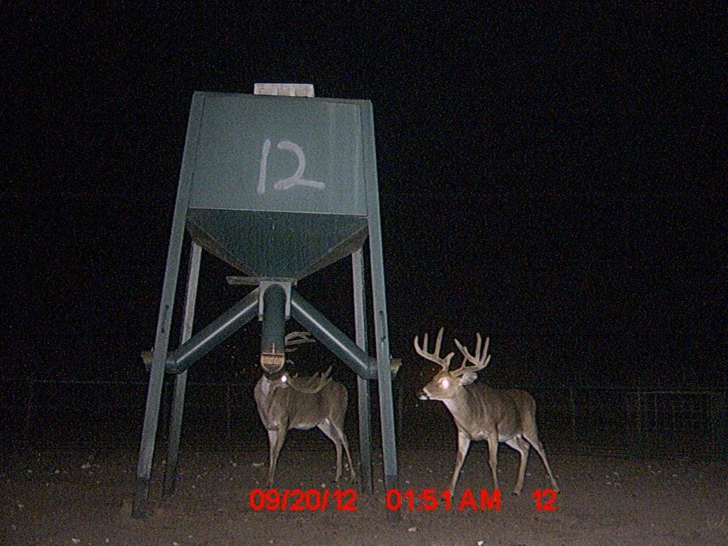 MDGC0028.jpg