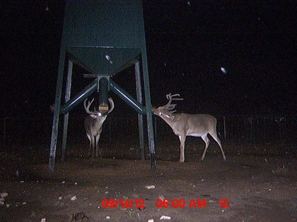 MDGC0036.jpg
