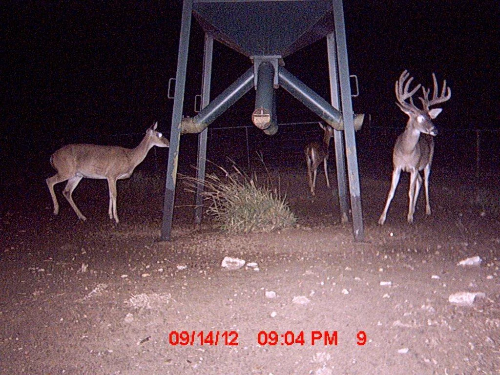 MDGC0066.jpg