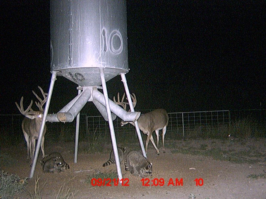 MDGC0072-435585512.jpg