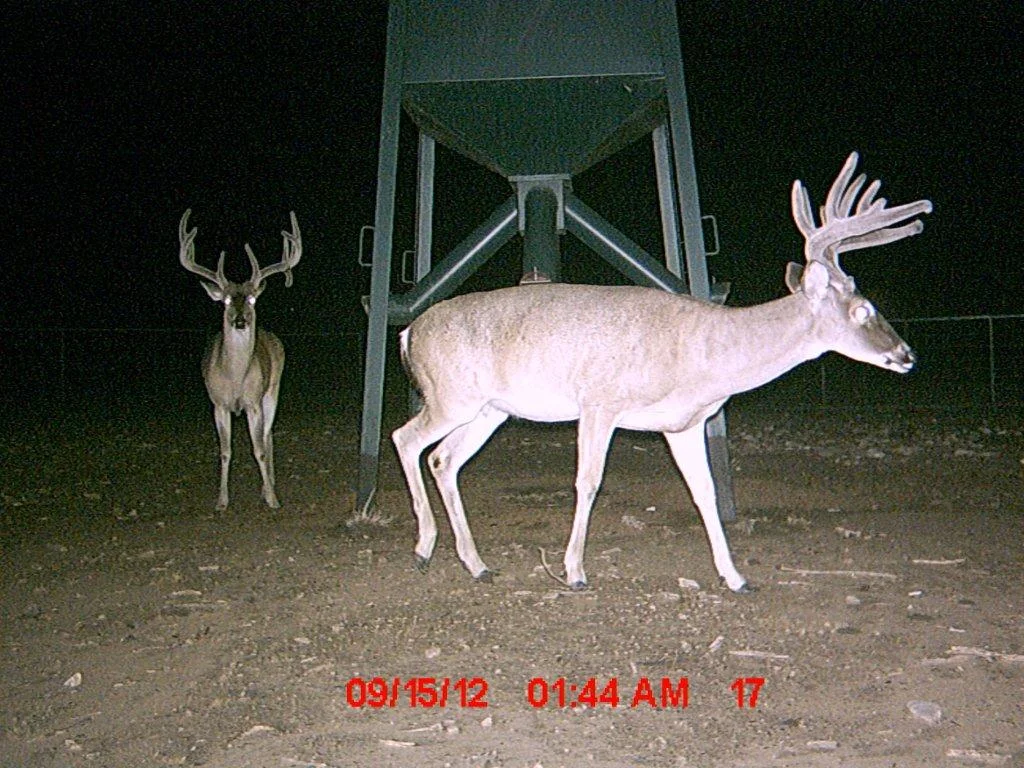 MDGC0072.jpg