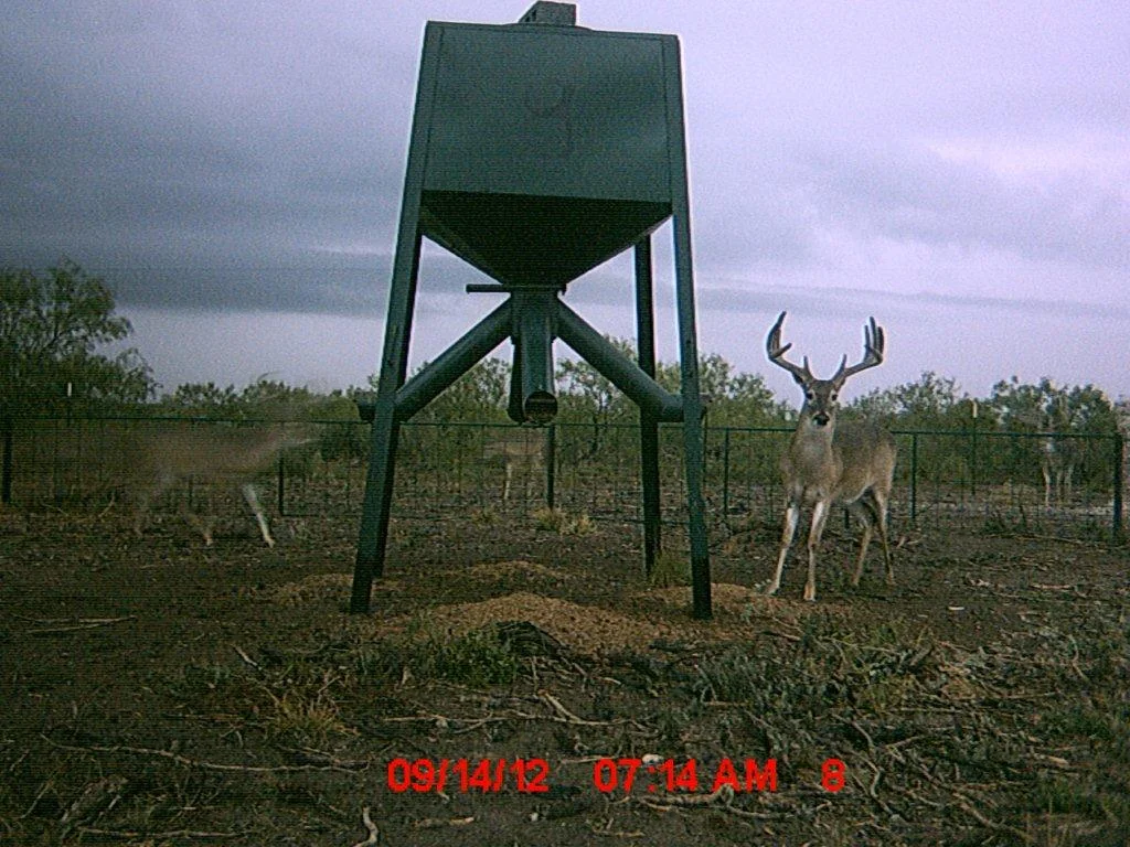 MDGC0074.jpg