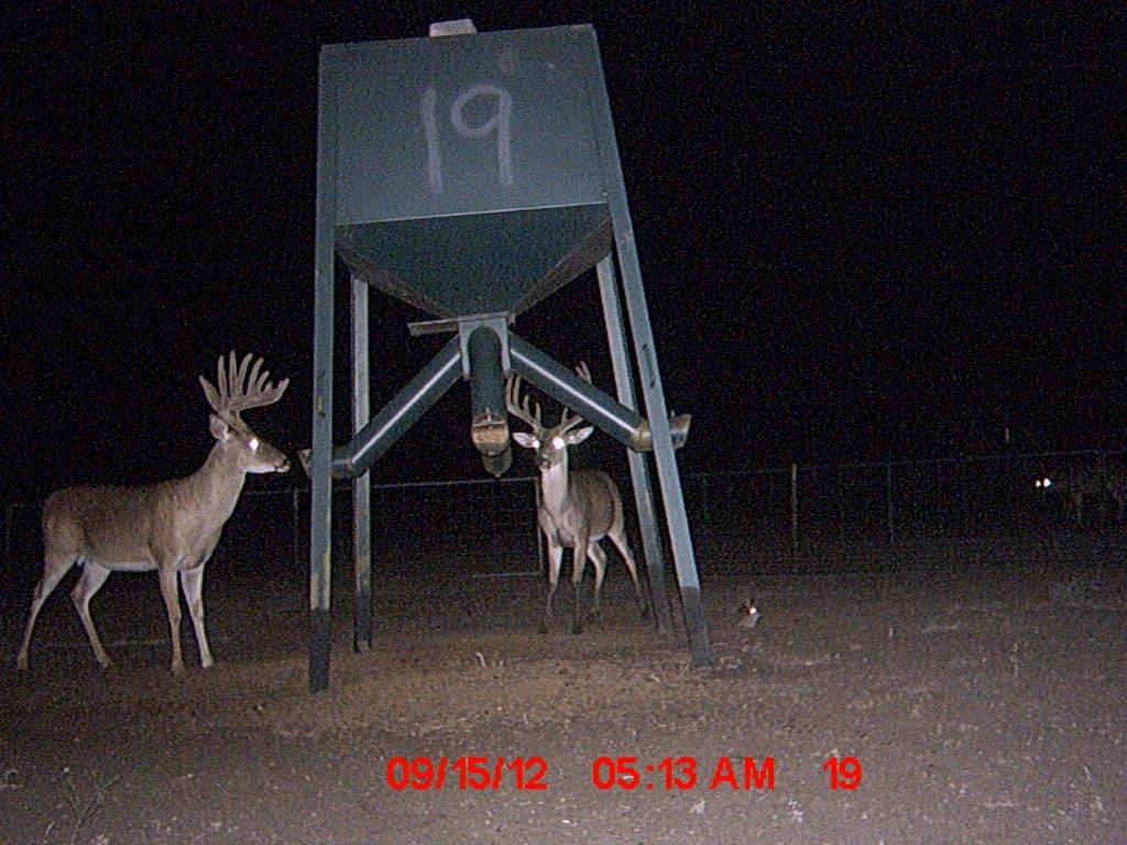 MDGC0083.jpg