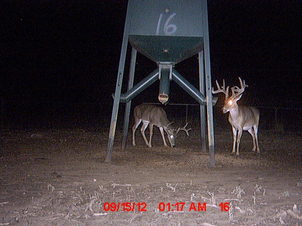 MDGC0113.jpg