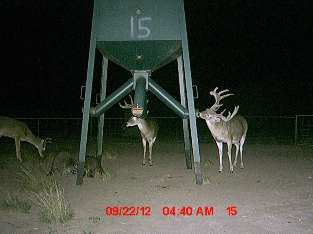 MDGC0125.jpg