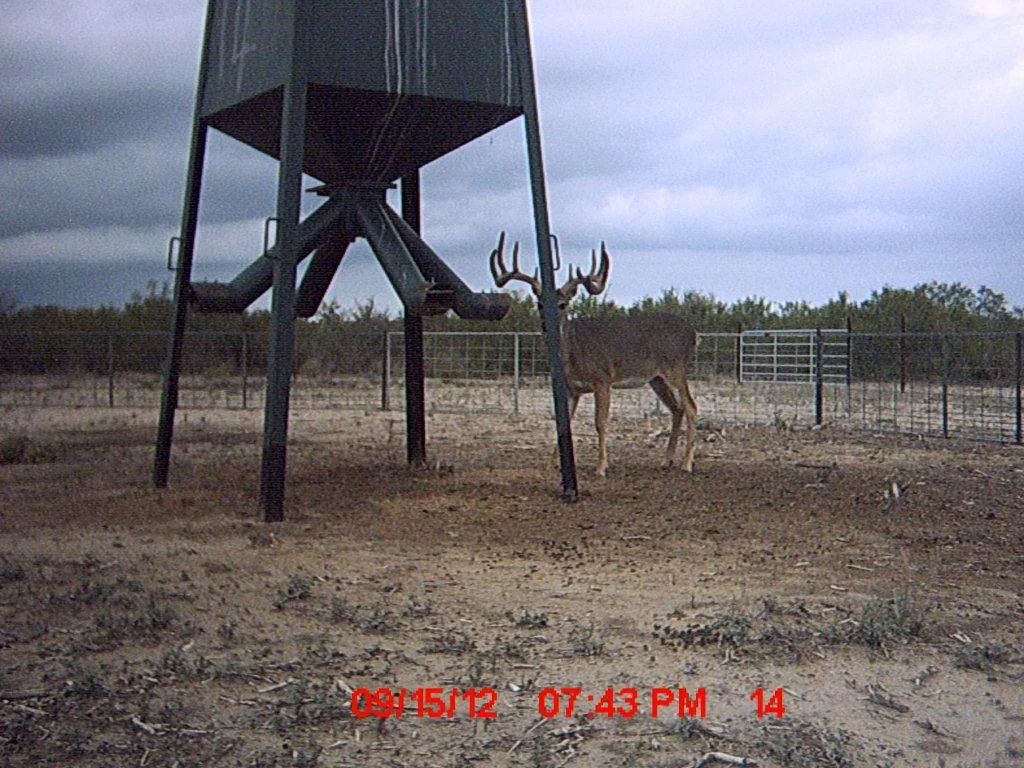 MDGC0129.jpg