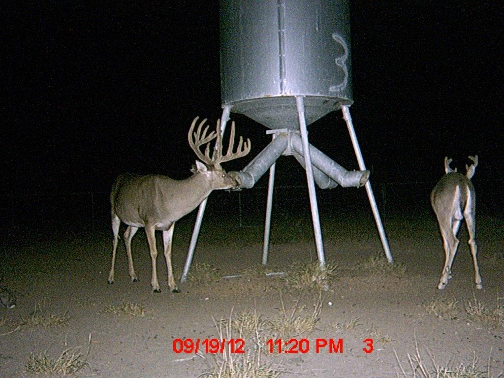 MDGC0135.jpg