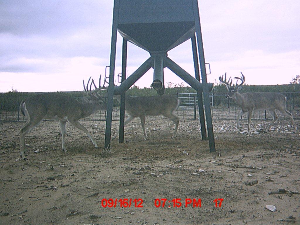 MDGC0140.jpg