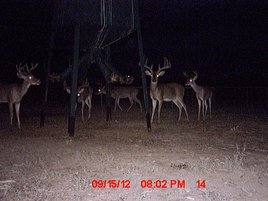 MDGC0137.jpg