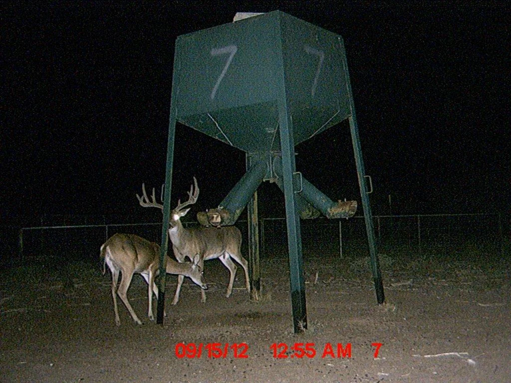 MDGC0145.jpg