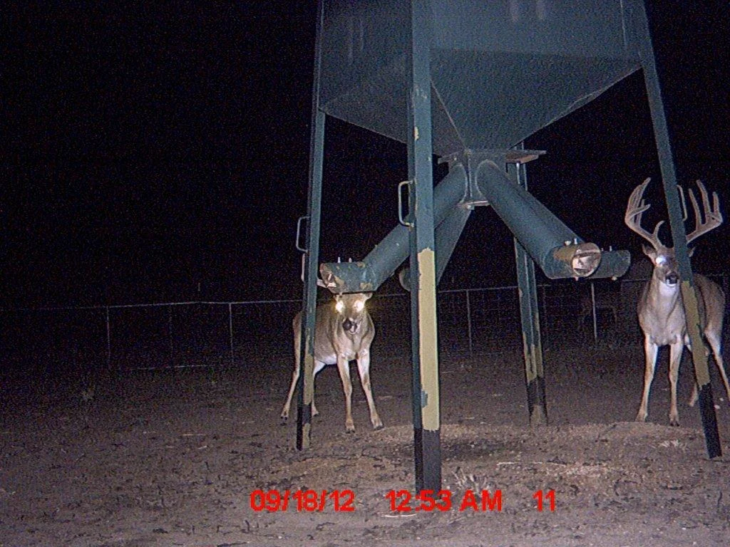 MDGC0146.jpg