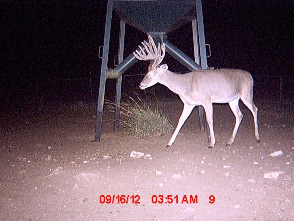 MDGC0157.jpg