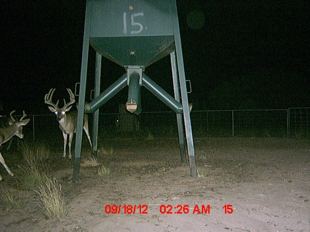 MDGC0183.jpg