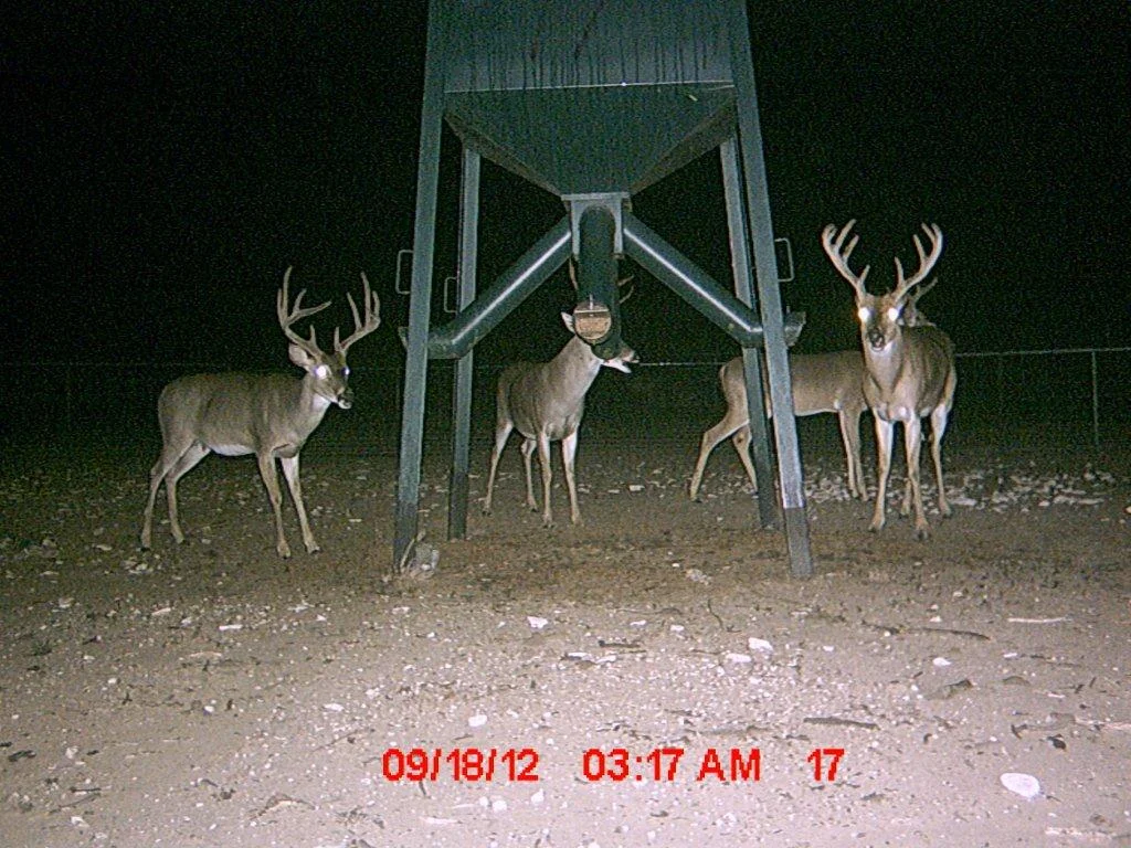 MDGC0202.jpg