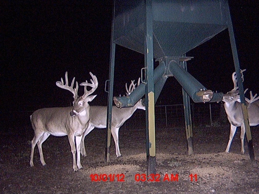 MDGC0197.jpg